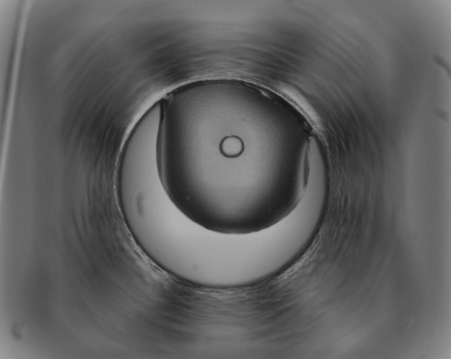 X0000091001340200708301326