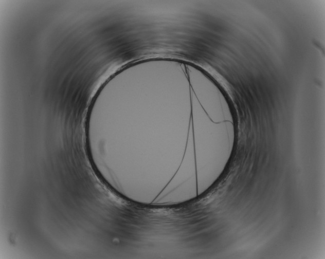 X0000091001341200708301326