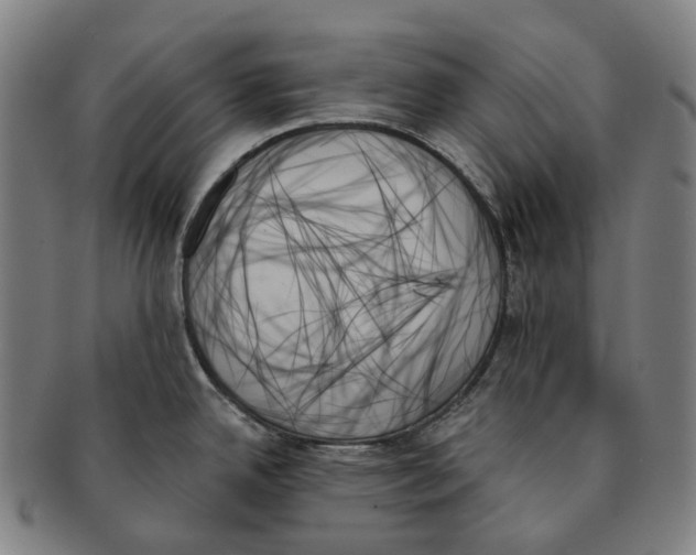 X0000091001342200708301326