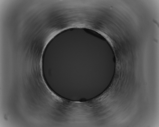 X0000091001343200708301326