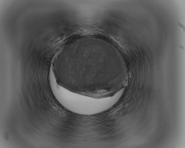 X0000091001348200708301325