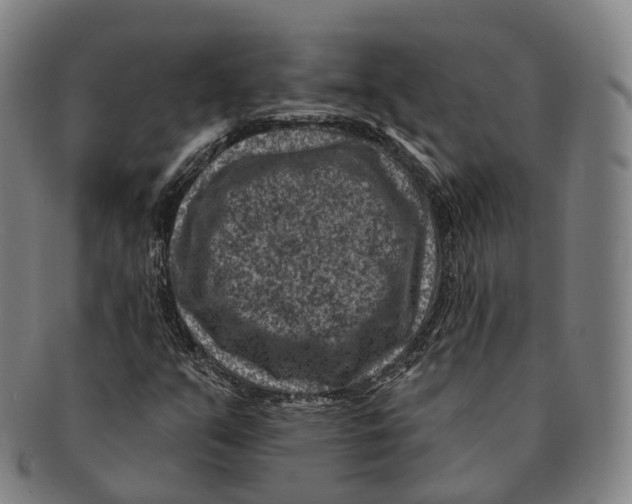 X0000091001351200708301325