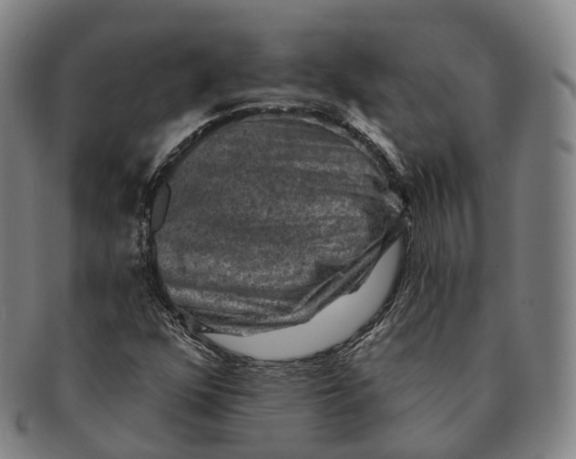 X0000091001352200708301325