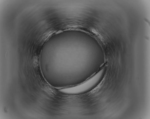 X0000091001353200708301325