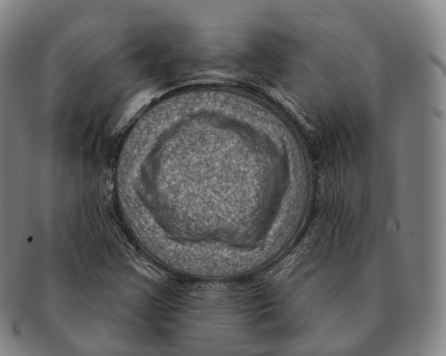 X0000091001355200708301325