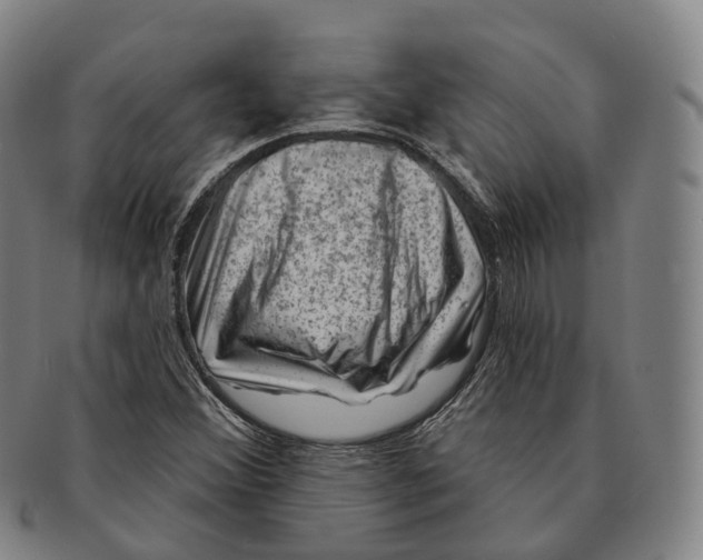 X0000091001356200708301325