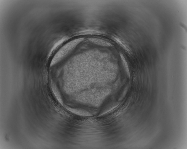 X0000091001358200708301325