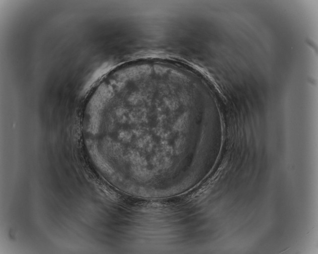 X0000091001359200708301325
