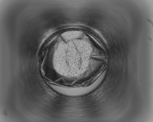 X0000091001360200708301325
