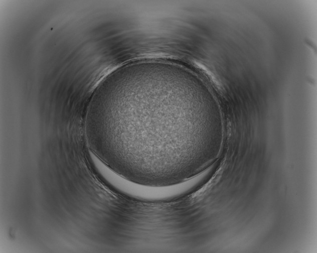 X0000091001361200708301325