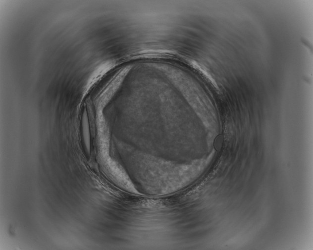 X0000091001362200708301325