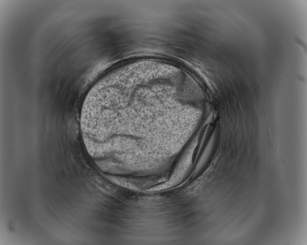 X0000091001363200708301325