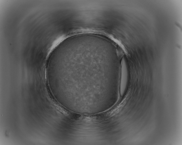 X0000091001365200708301325