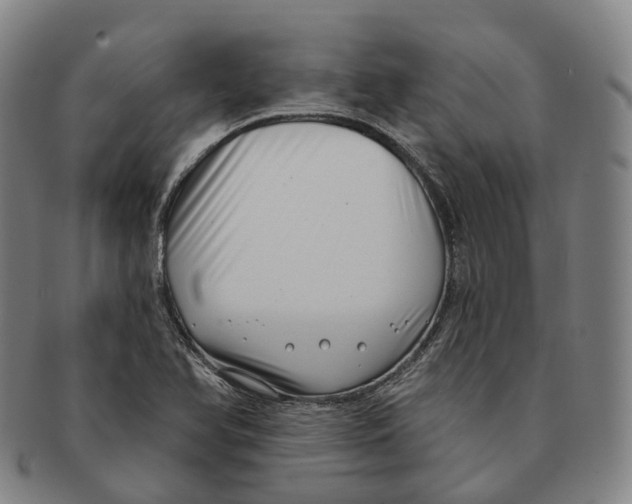 X0000091001366200708301325