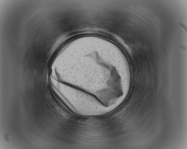 X0000091001368200708301325