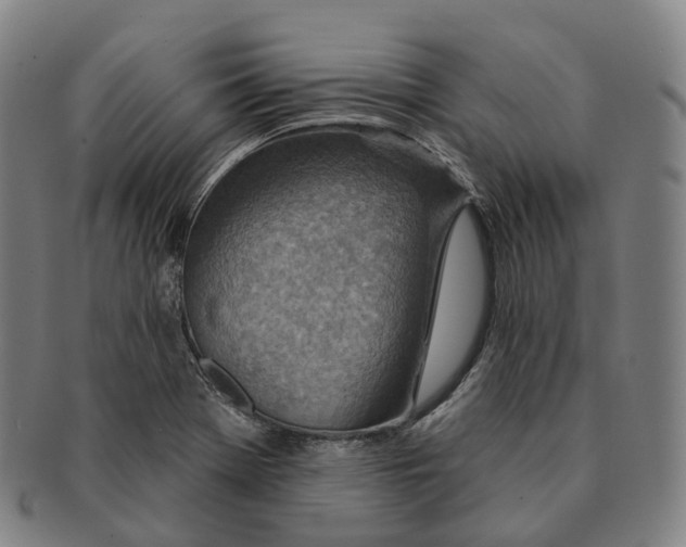 X0000091001369200708301325