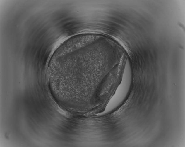 X0000091001371200708301325