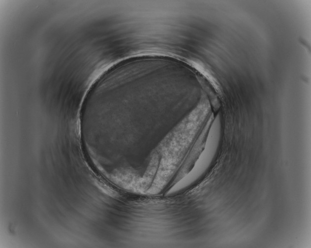 X0000091001372200708301325