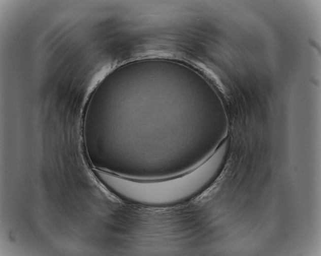 X0000091001373200708301325