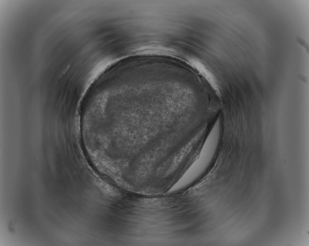 X0000091001376200708301325