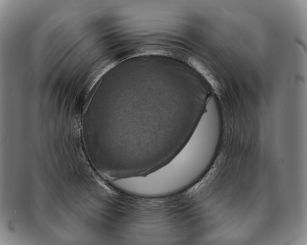 X0000091001377200708301325