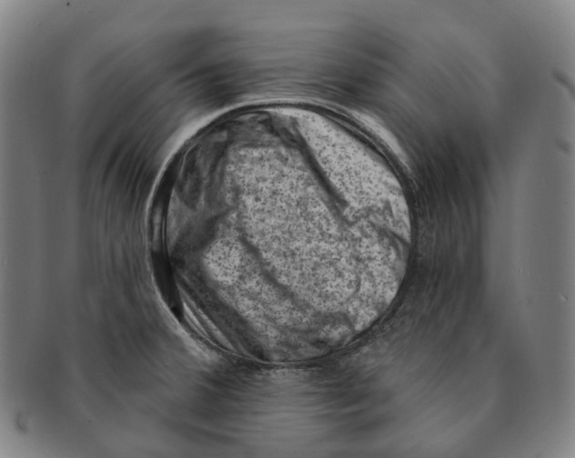 X0000091001380200708301325