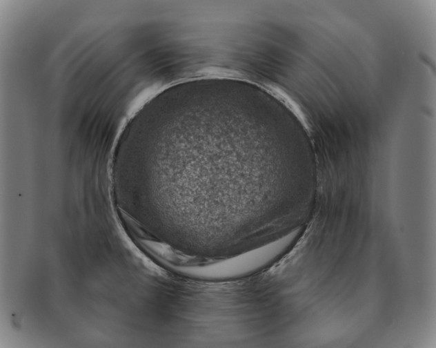 X0000091001381200708301325