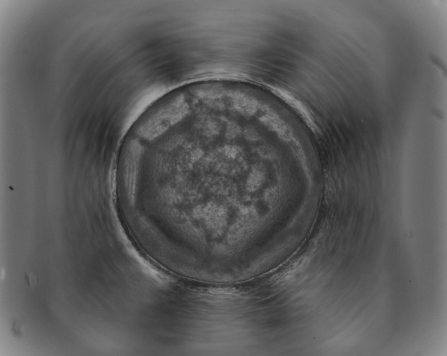 X0000091001383200708301325
