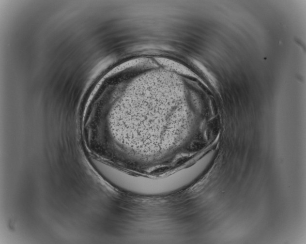 X0000091001384200708301325