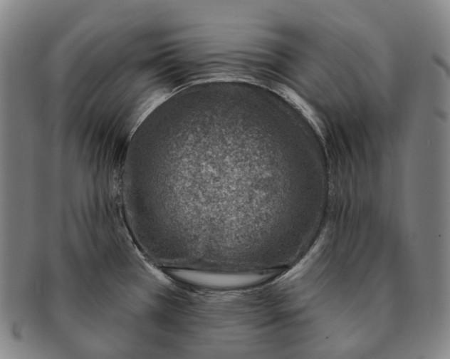 X0000091001385200708301325