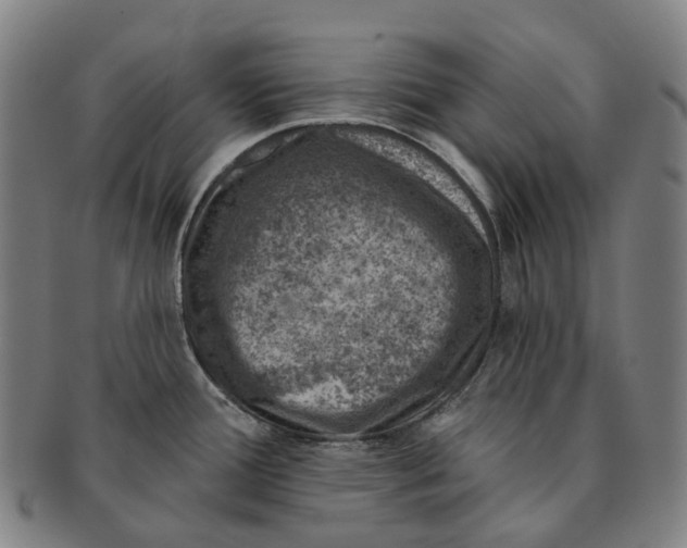 X0000091001388200708301325