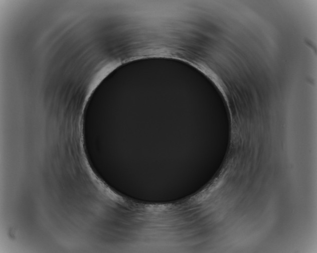 X0000091001389200708301325