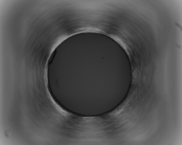 X0000091001391200708301325