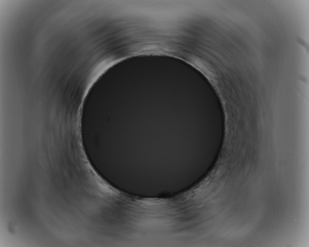 X0000091001392200708301325