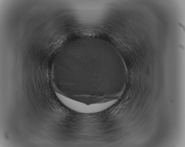 X0000091001394200708301324