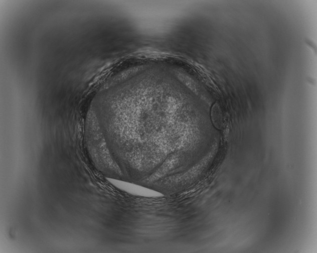 X0000091001397200708301324