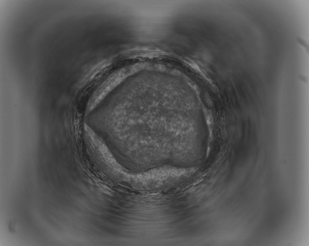 X0000091001399200708301324