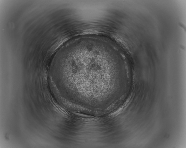 X0000091001401200708301324