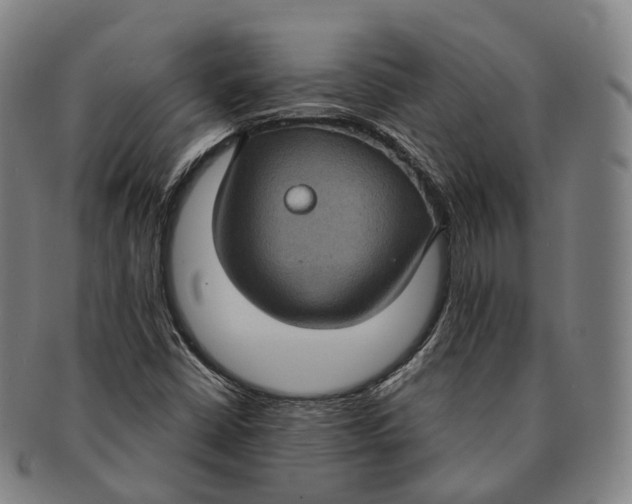 X0000091001402200708301324