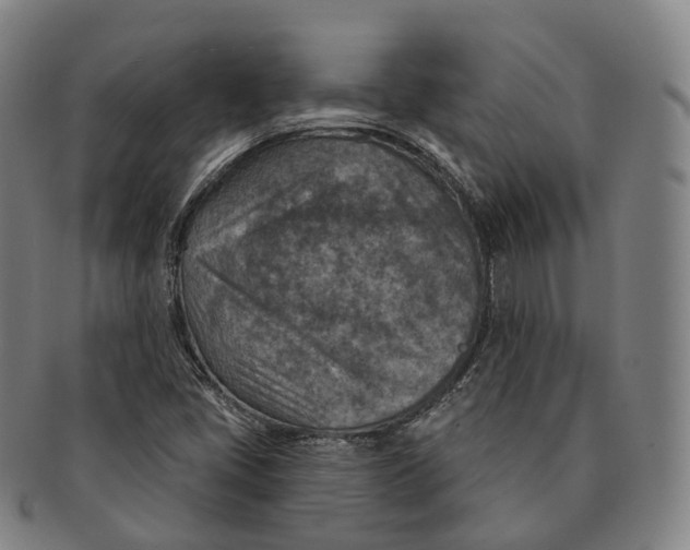 X0000091001405200708301324