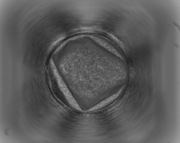 X0000091001411200708301324