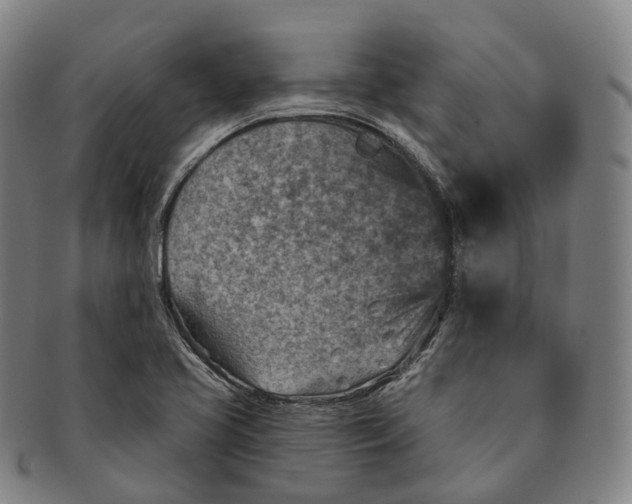 X0000091001413200708301324