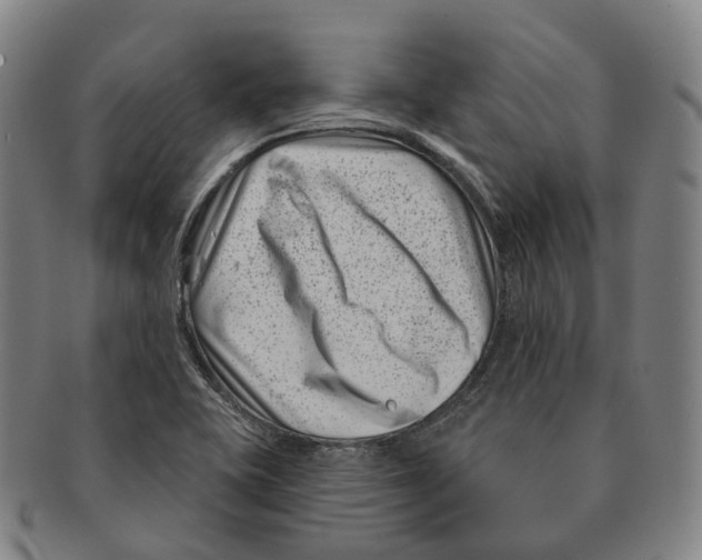 X0000091001415200708301324