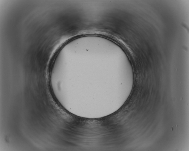 X0000091001416200708301324