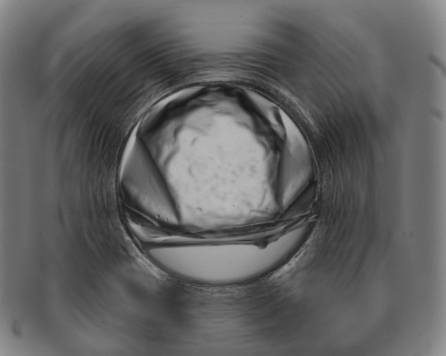 X0000091001417200708301324