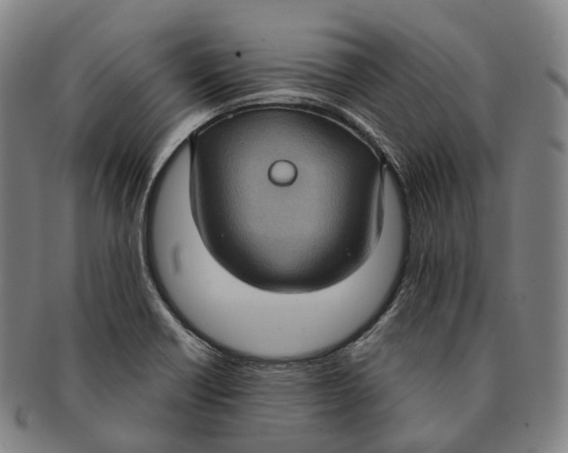 X0000091001418200708301324