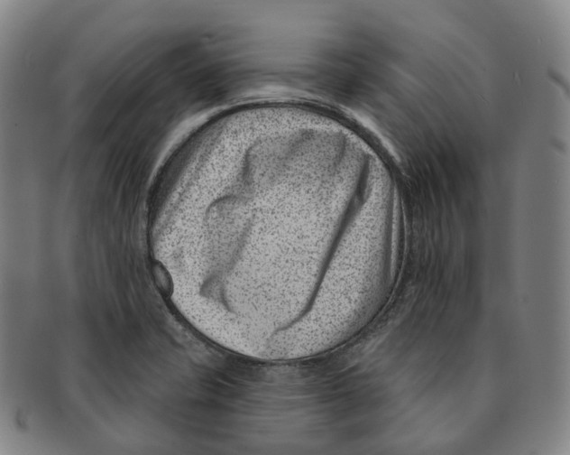 X0000091001421200708301324