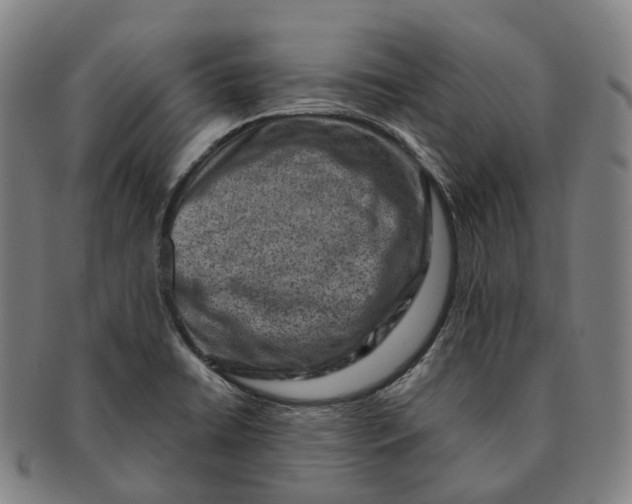 X0000091001422200708301324