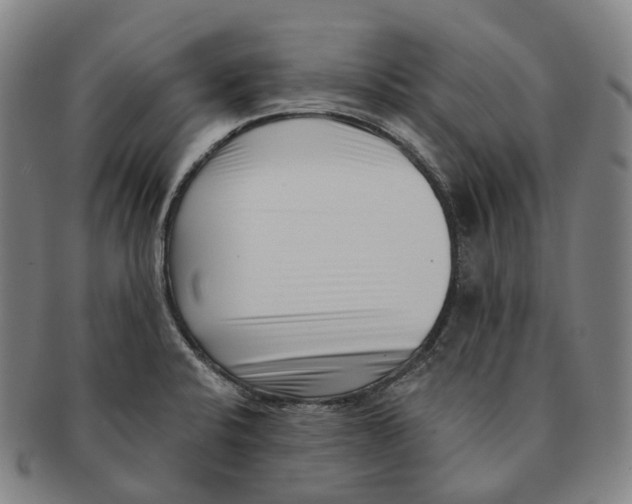 X0000091001424200708301324