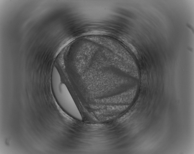 X0000091001425200708301324